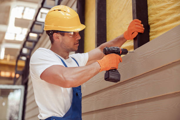 Best Vinyl Siding Installation  in Parkston, SD